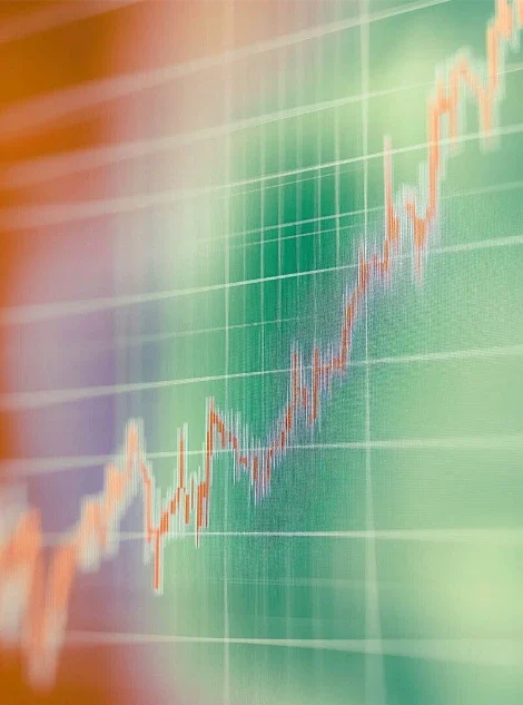 Search Engine Optimization